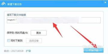 高中av磁力链 下载,下载背后的真相与警示