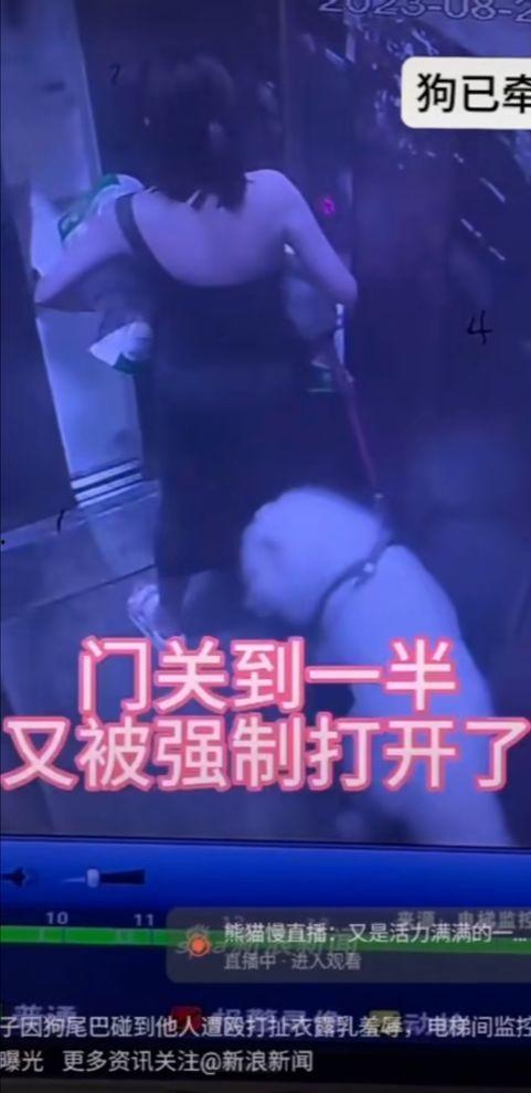 新闻爆料乐清打死人视频,悲剧瞬间引发社会关注