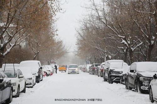 哈尔滨下雪爆料事件视频,哈尔滨下雪爆料视频引发热议