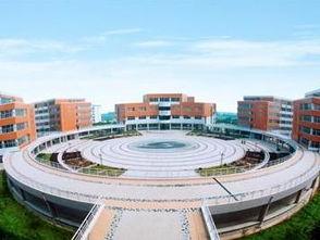 安阳工学院瓜免费吃,免费共享，校园生活新风尚