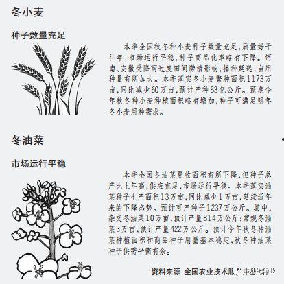 2018无码种子,回顾经典，展望未来